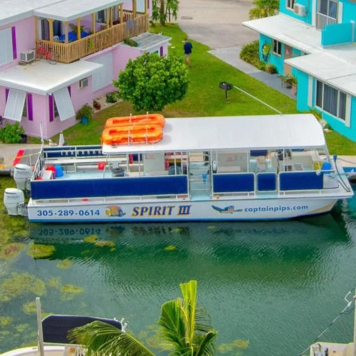 image-a-la-une-captain-pips